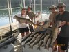 (07/26/2017) - Nice Striped Bass